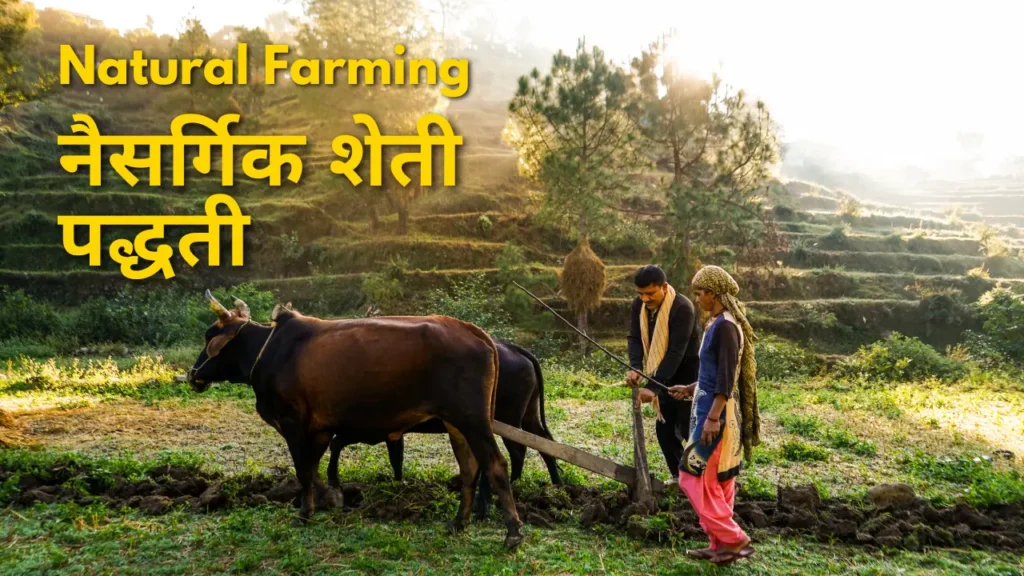Natural Farming