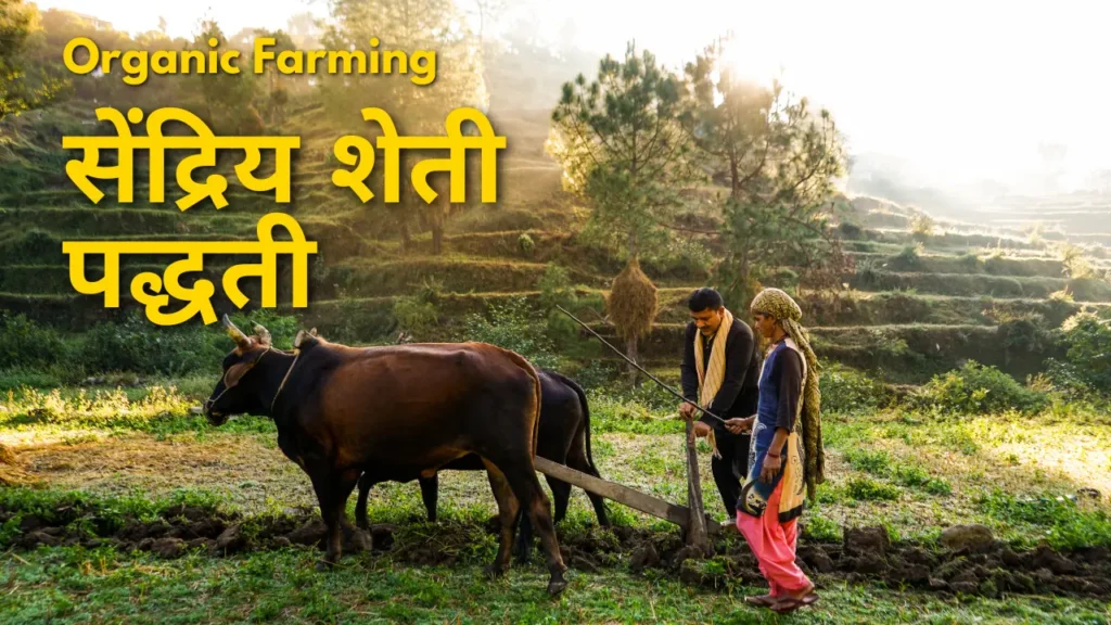 Organic Farming