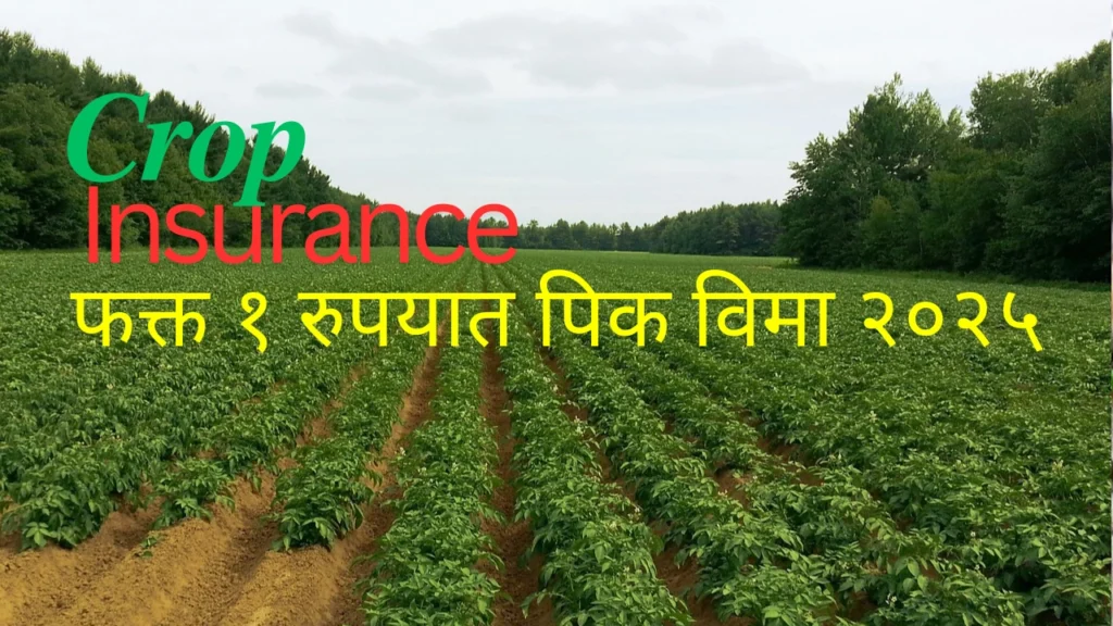 crop insurance