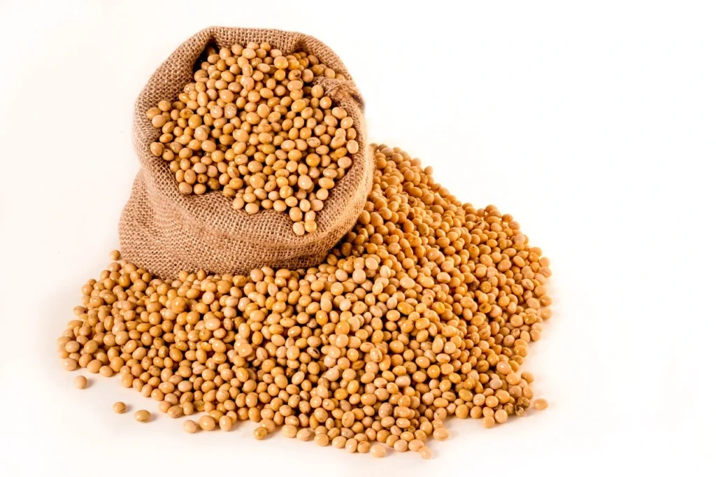 soybean Market