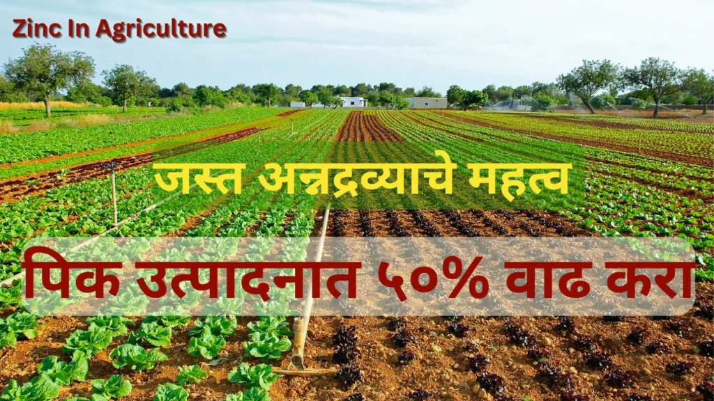Zinc in agriculture