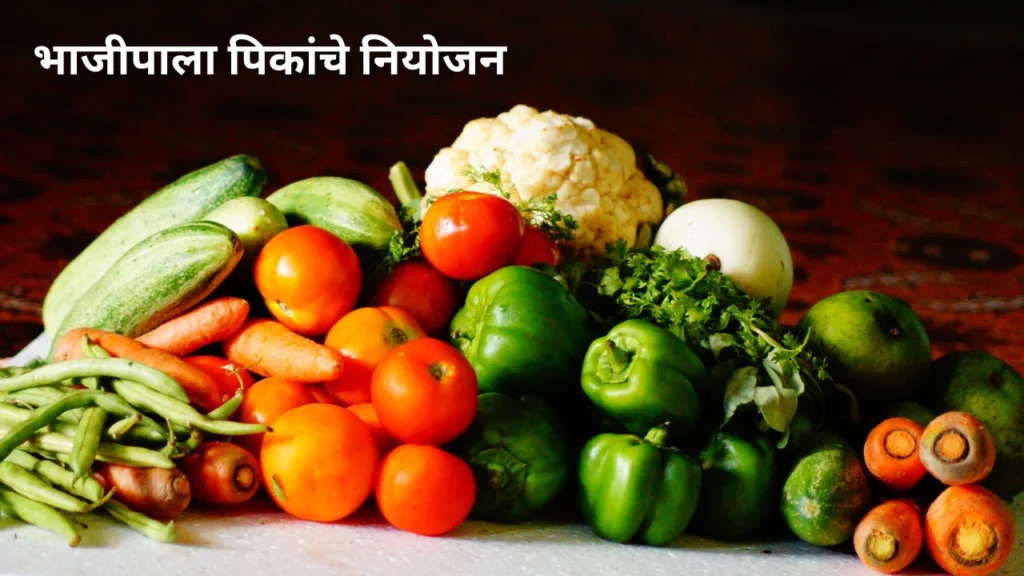 Vegetable Crop Planning