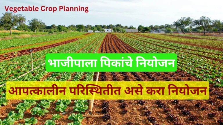 Vegetable Crop Planning