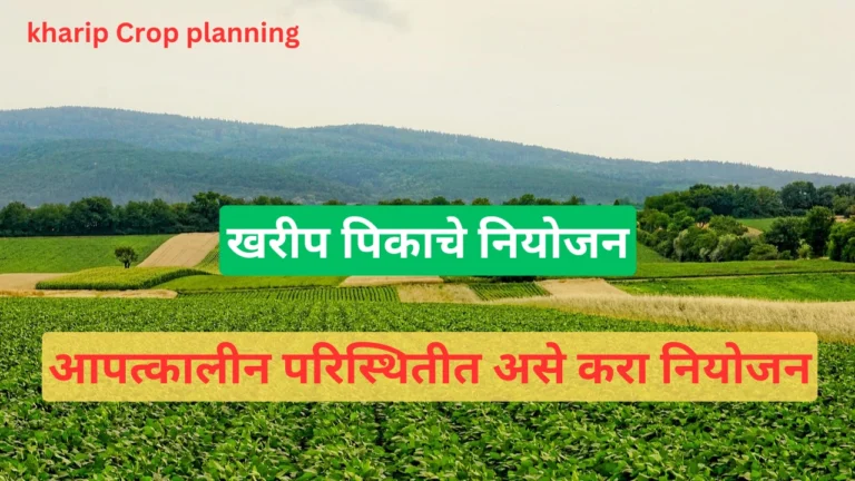 kharip crop planning