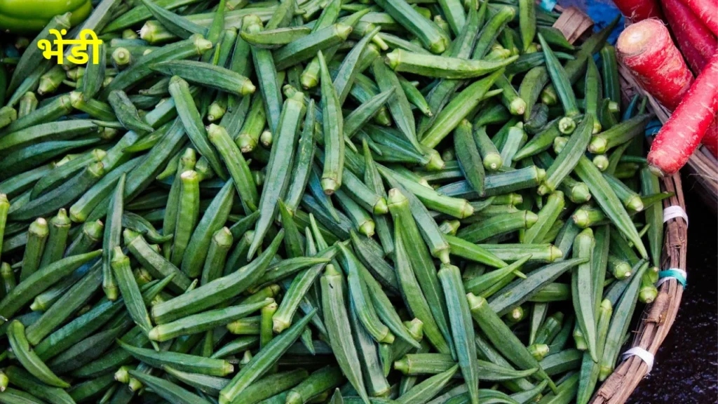 vegetable crop management