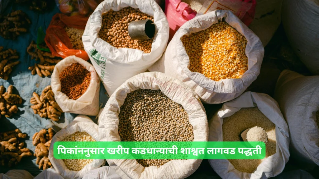 pulses market