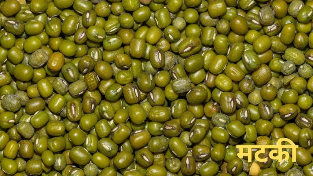pulses market