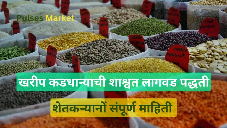 pulses market