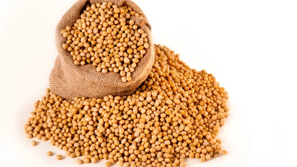 soybean crop in Marathi