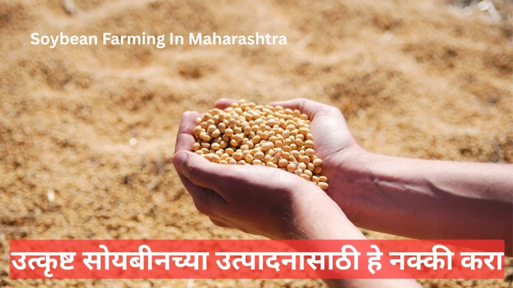 soybean crop in Marathi