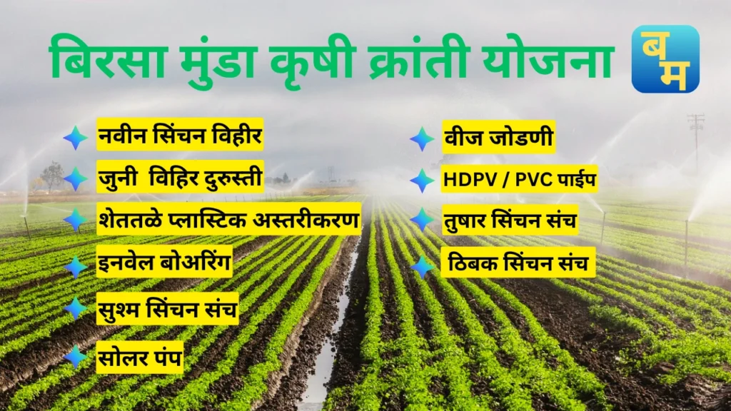 Birsa Munda Krishi Kranti Yojana