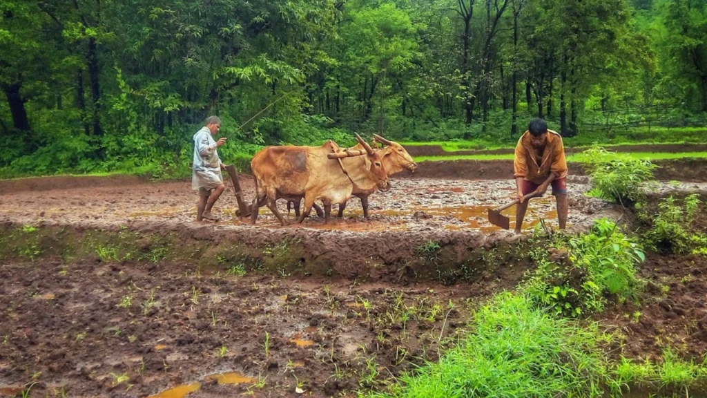 Birsa Munda Krishi Kranti Yojana
