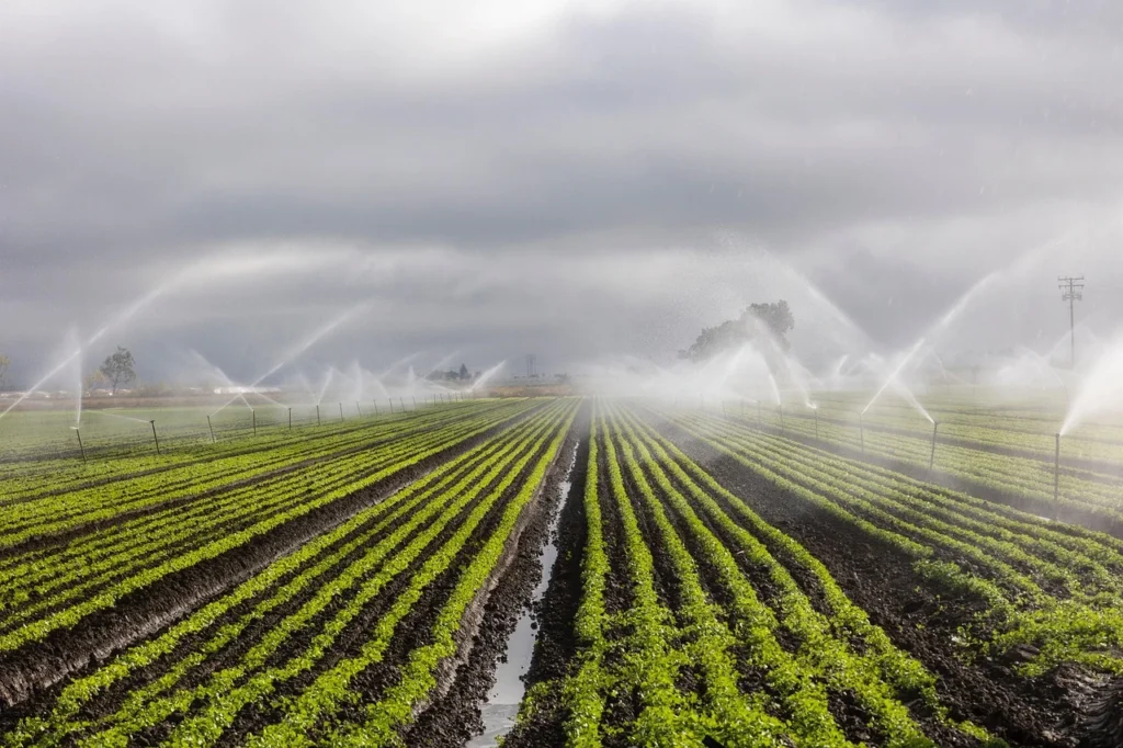 Pradhan Mantri Krishi Sinchai Yojana 2025