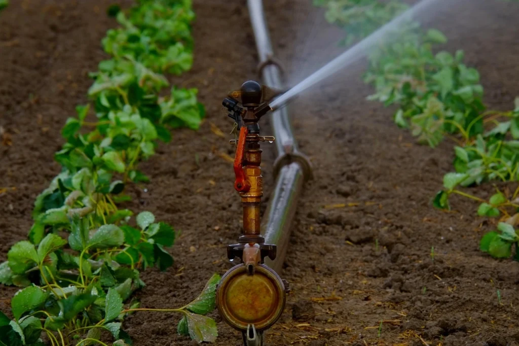 Pradhan Mantri Krishi Sinchai Yojana 2025