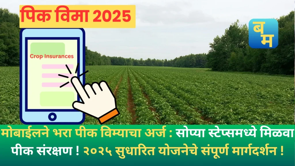Pik Vima 2025